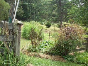 sacred herb gardens